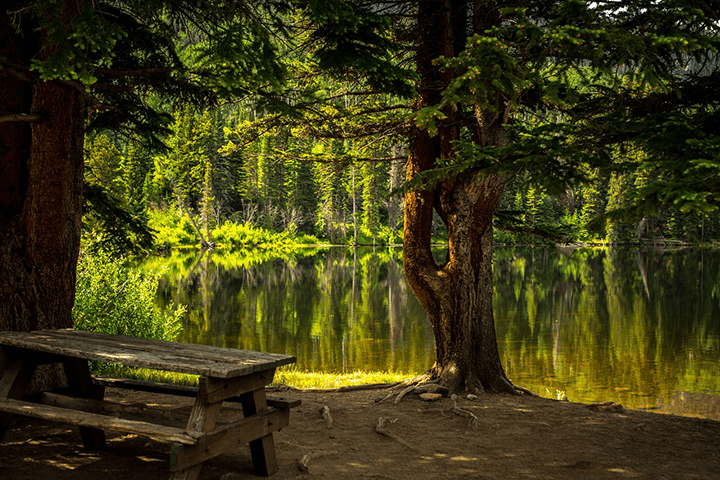 The Environmental Impact of Using Commercial Picnic Tables in Public Spaces